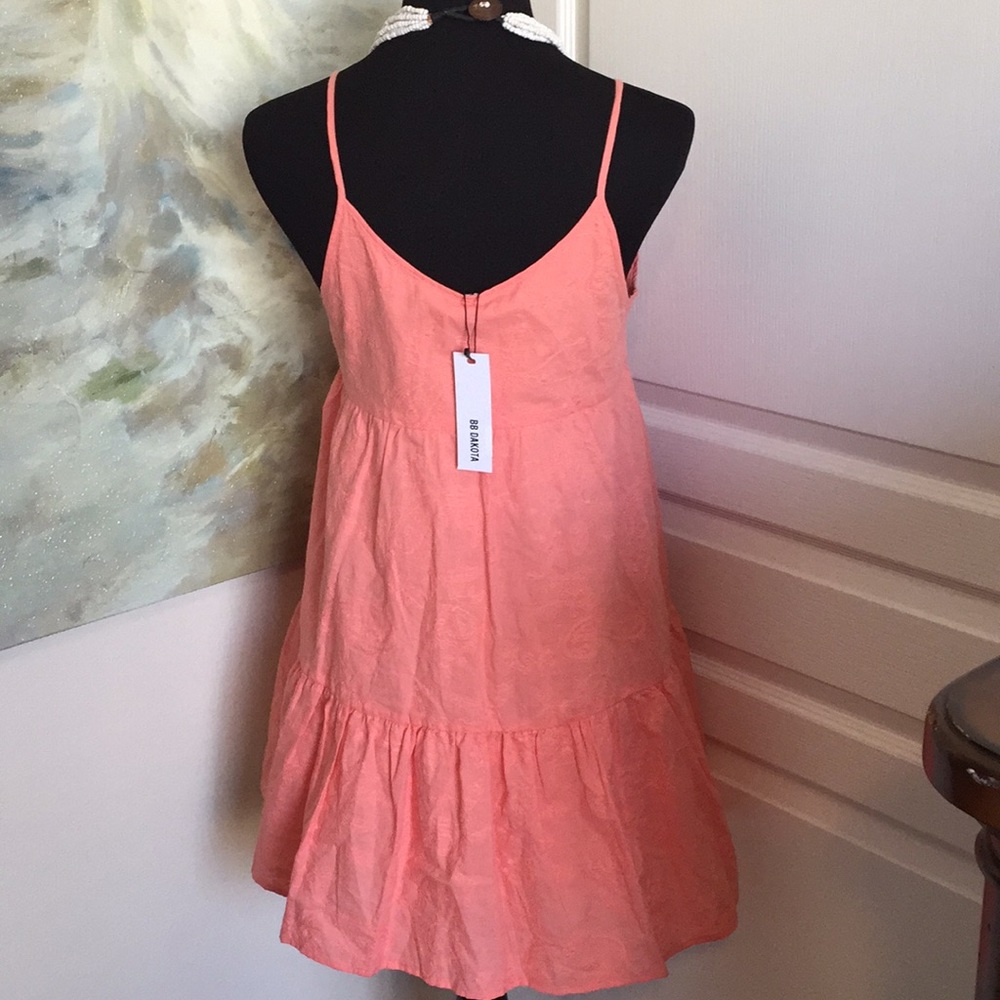 NWT BB Dakota embroidered dress - Picture 5 of 8